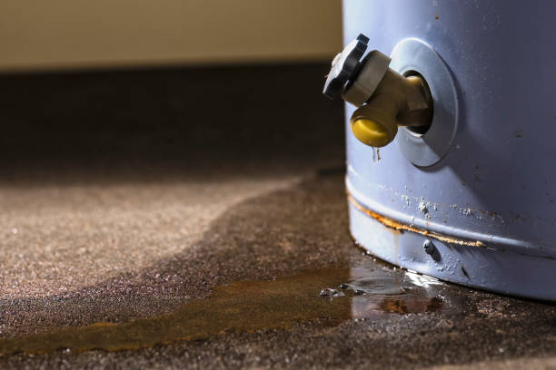 Water damage restoration experts in East Sandwich, MA