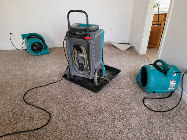 Best Commercial water damage restoration  in East Sandwich, MA